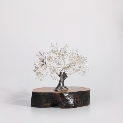 Árbol centenario 12x13cm "Olivo"