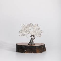 Árbol centenario 9x12cm "Olivo"