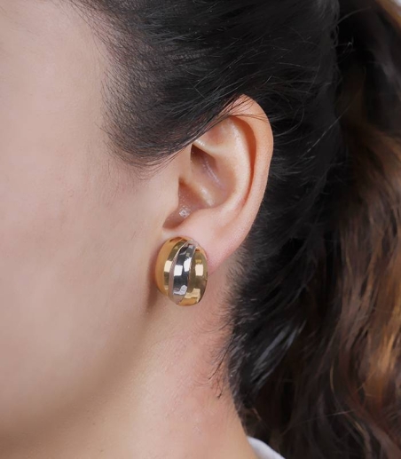 Pendientes "Minesse" Oro Bicolor 18K