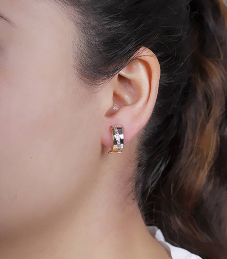 Pendientes Oro Bicolor 18k y circonitas "Balt"