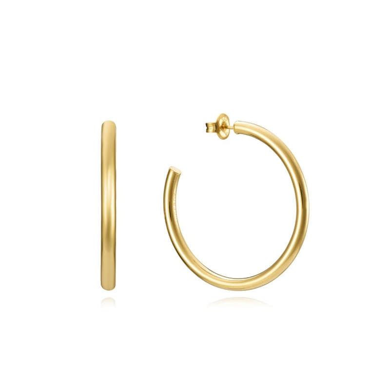 Pendientes Viceroy aros 13061E100-06