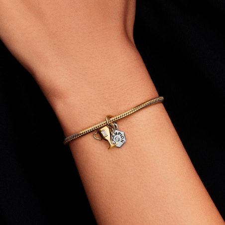 Charm Pandora Shine Copa 764715C01