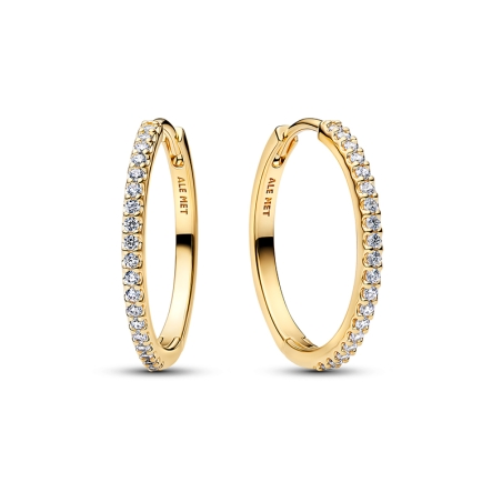 Pendientes Pandora Brillantes 264652C01