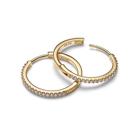 Pendientes Pandora Brillantes 264652C01
