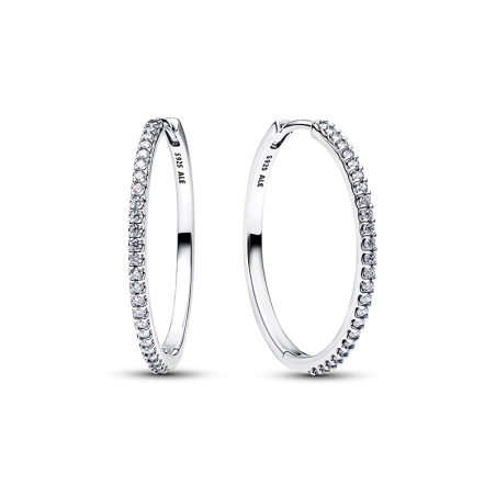 Pendientes Pandora Brillantes 294650C01