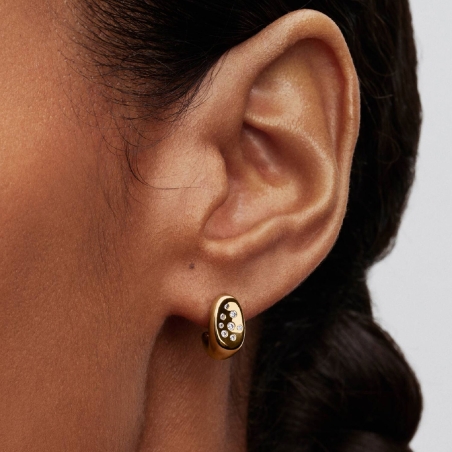Pendientes Pandora Orgánicos 264661C01