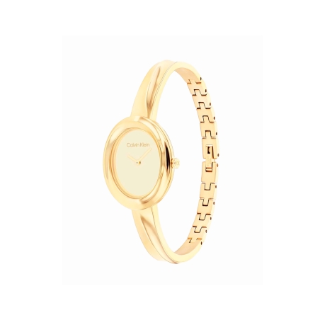 Reloj Calvin Klein Twisted Bezel 25100056