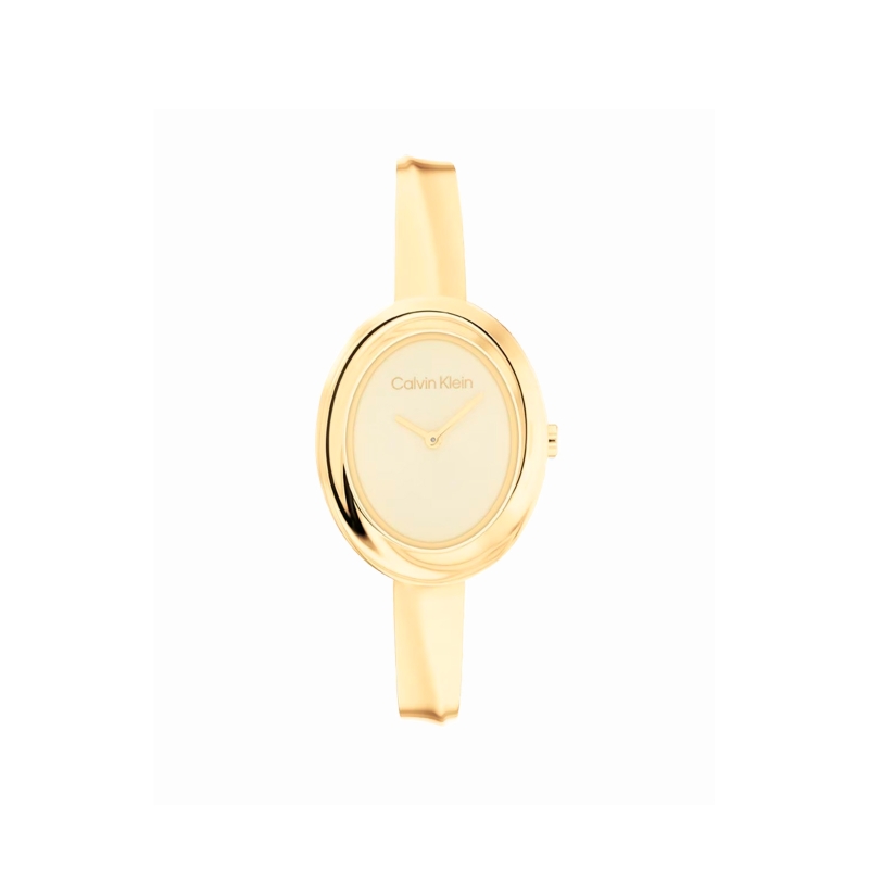 Reloj Calvin Klein Twisted Bezel 25100056