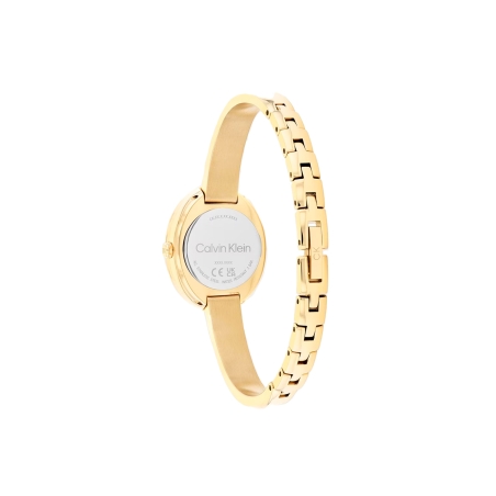 Reloj Calvin Klein Twisted Bezel 25100056