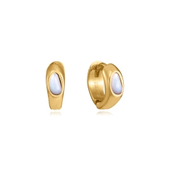 Pendientes Viceroy y madre perla 75439E01012