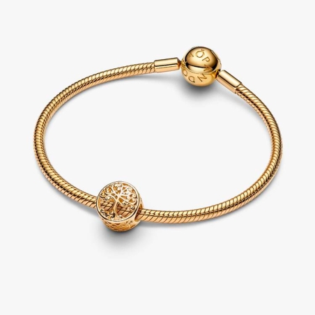 Charm Pandora raíces familiares 767590C00