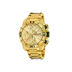 Reloj Festina Timeless Chronograph hombre F20492/1