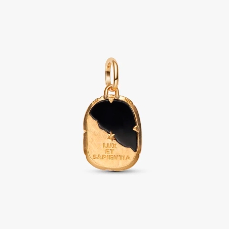 Charm Pandora medallón búho 764805C01