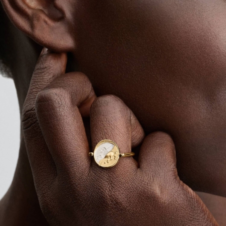 Anillo Pandora medallón Pegaso 164812C01