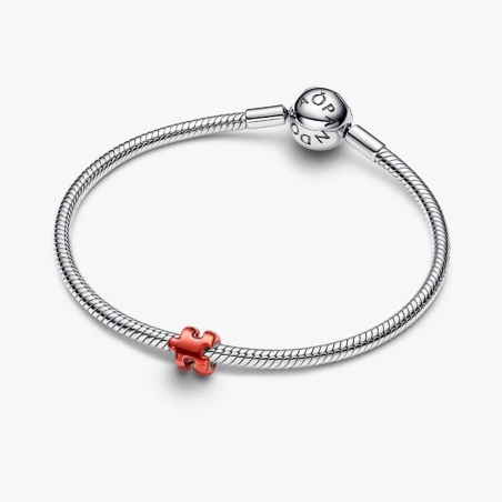 Charm Pandora mini puzle 794816C01