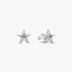 Pendientes Pandora estrella brillante 295089C01