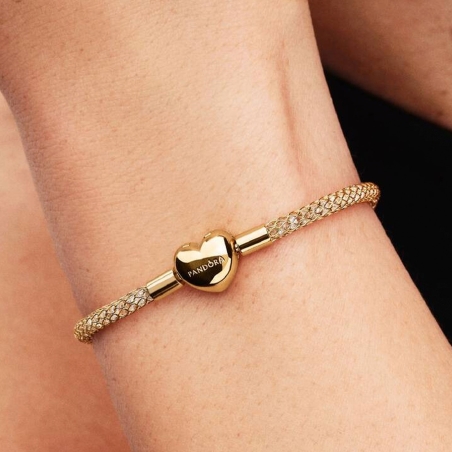 Pulsera Pandora malla brillante 564971C01