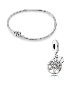 Set PANDORA Pulsera y charm PUL702 1728CZ