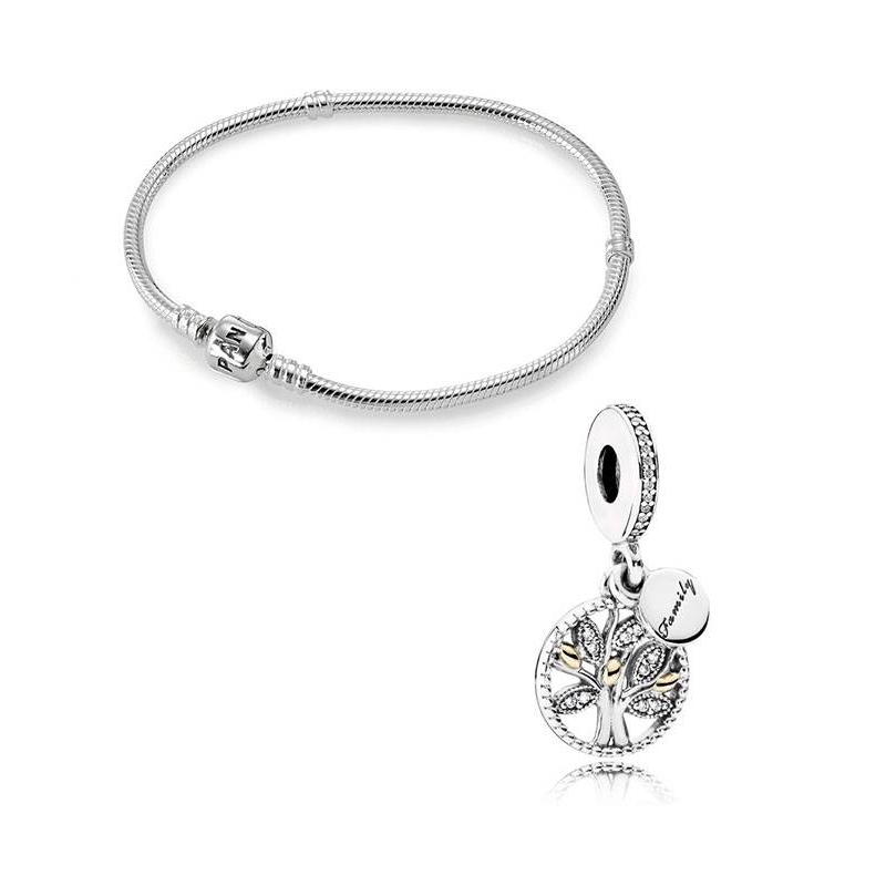 Set PANDORA Pulsera y charm PUL702_1728CZ