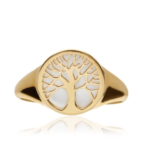 Anillo Sello  "Big Tree"  Oro 18k y nacar