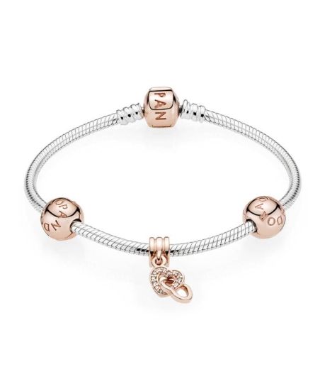 Pulsera Pandora Moments Rose para charms 580702