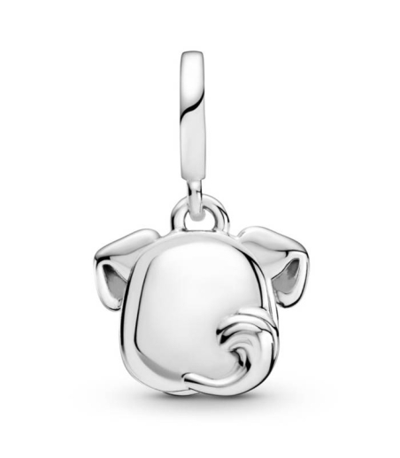 CHARM COLG. PLATA MI PERRO MASCOTA 799327C01