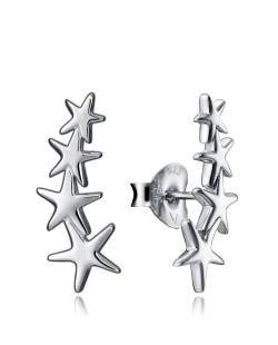 PENDIENTES VICEROY TREND DE PLATA DE LEY 5065E000-08