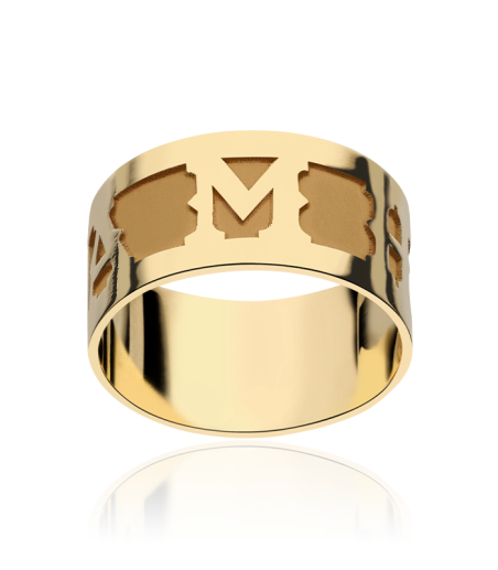 ANILLO AJUSTADOR "ARVADA" 10 mm ORO 18K